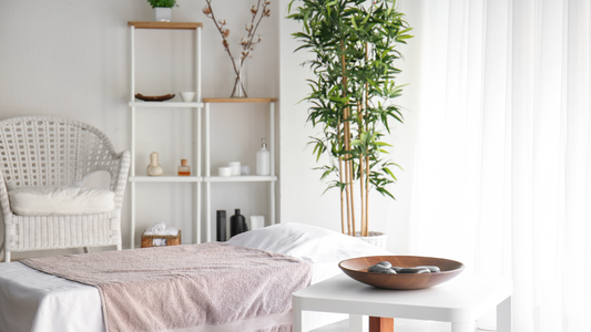 The 'Boujee on a Budget' Guide to Making Your Studio Look Luxe (Without Breaking the Bank!)
