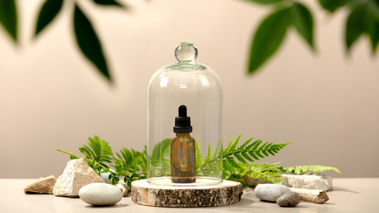 Eco-Chic on a Budget: 6 Genius Ways to Green Your Beauty Routine