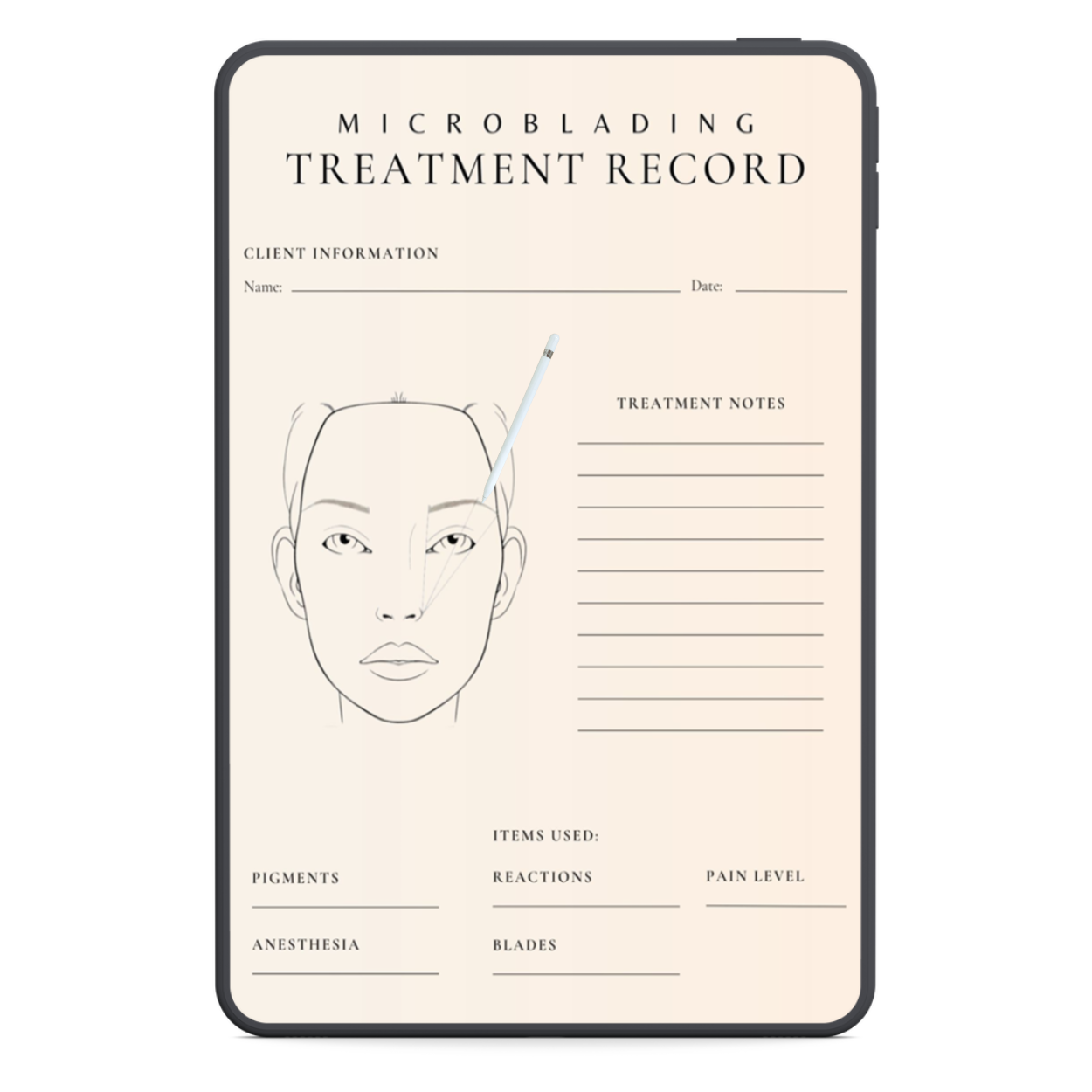 Libro de registro de microblading